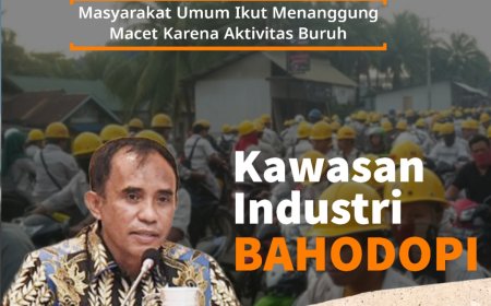 Kawasan Industri Bahodopi Butuh Solusi Cepat!  Ini Usulan Anwar Hafid