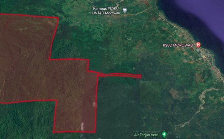 Protes Warga Masyarakat Morowali: Kecamatan Bungku Tengah Harap Bebas Izin Tambang Nikel