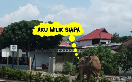 Misteri Hewan Ternak Bebas: Warga Desa Bente dan Ancaman di Jalan Raya