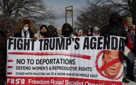 Dozens protest in Washington, DC during Trump inauguration