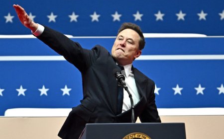 Musk accused of giving Nazi salute during Trump inauguration celebrations