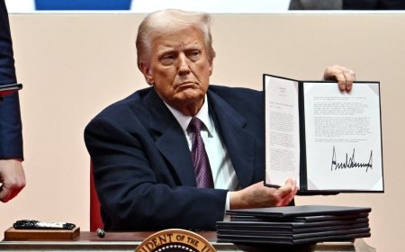 What is an executive order, and what orders did Trump sign on day 1?