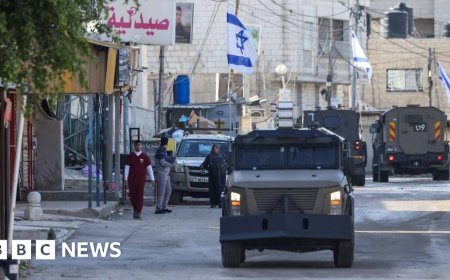 Eight Palestinians killed as Israeli forces launch major operation in Jenin