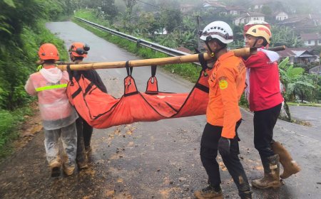 Rescuers in Indonesia search for survivors after landslide kills 19 in Java