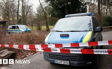 Toddler and man fatally stabbed in German park
