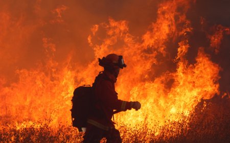 New rapidly growing wildfire breaks out north of Los Angeles