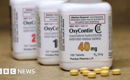 Purdue and Sackler family agree $7.4bn opioid settlement