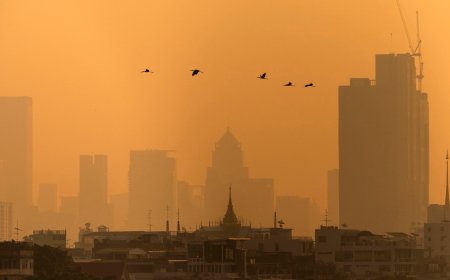 Air pollution in Thailand’s Bangkok forces more than 350 schools to close
