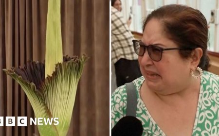 'Hot garbage': Australians react to smell of 'corpse flower' in bloom