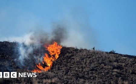 New fires erupt in southern California ahead of Trump visit