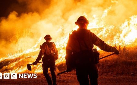 Trump tours LA fire destruction as new fires erupt