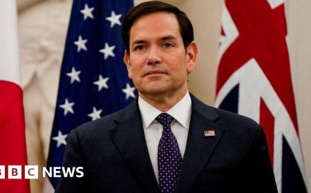 US issues pause on foreign aid, leaked memo says