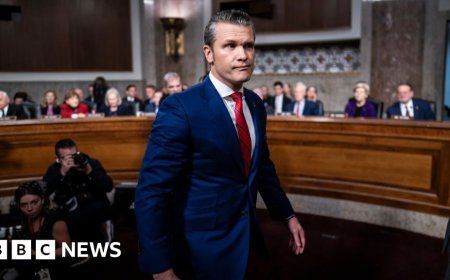 Pete Hegseth confirmed as US defence secretary in tie-breaking vote
