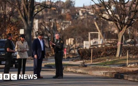 Trump tours LA fire destruction amid worries about disaster aid