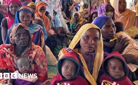 David Lammy 'horrified' after meeting Sudan war victims face-to-face