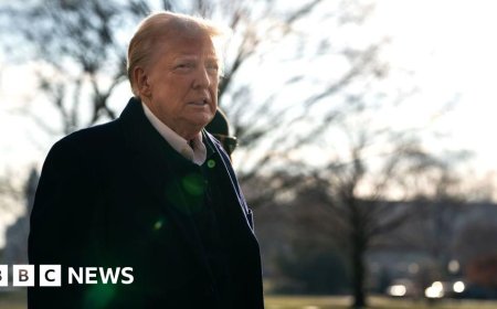 Trump fires at least a dozen government watchdogs