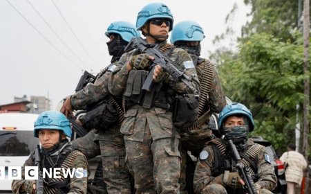 Rebels kill 13 foreign peacekeepers in DR Congo