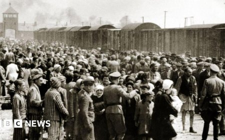 How Auschwitz became centre of Nazi Holocaust