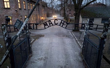 ‘Hell on Earth’: Who were the victims killed by the Nazis in Auschwitz?