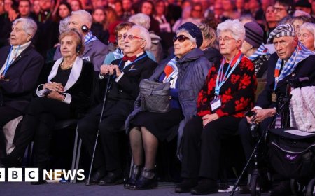 Survivors of Auschwitz deliver warning from history as memories die out