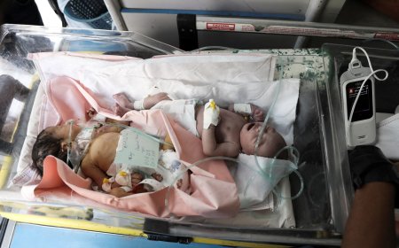 ‘Five babies in incubator’: HRW on danger to pregnant women, babies in Gaza