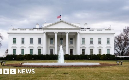 White House pauses federal grants and loans