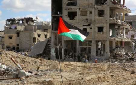 What might be the fallout of forcing Palestinians from their land?