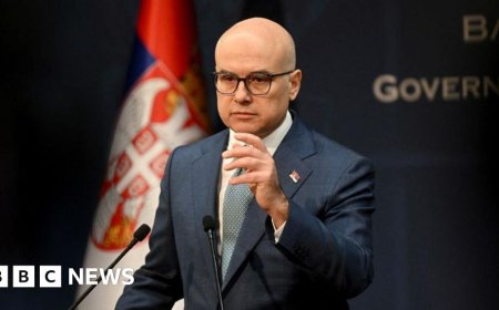 Serbian PM quits after months of mass protests