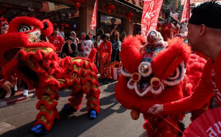 Who is celebrating the Chinese Lunar New Year of the Snake and how?