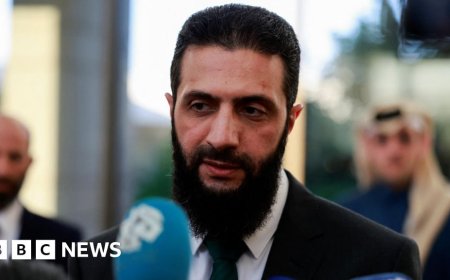 Ahmed al-Sharaa named Syria's transitional president