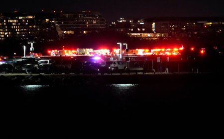 Plane collides with helicopter midair in Washington, DC