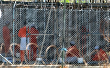 Guantanamo to hold ‘illegal aliens’: The Constitution v The President, 2.0