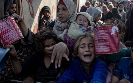Gaza ‘ceasefire at risk’ if UNRWA forced to stop operations