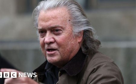 Steve Bannon pleads guilty in border wall case and avoids jail time