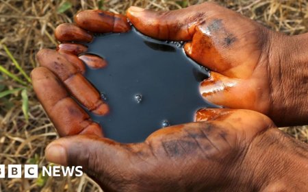 Oil clean-up 'scam' warnings ignored by Shell, whistle-blower tells BBC