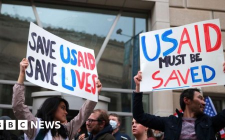 Fifty countries affected by USAID freeze, says WHO