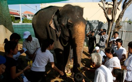 For China, USAID’s demise could be a soft power win in Southeast Asia