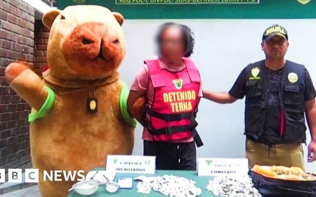 Peruvian police in capybara gear make Valentine's drug bust