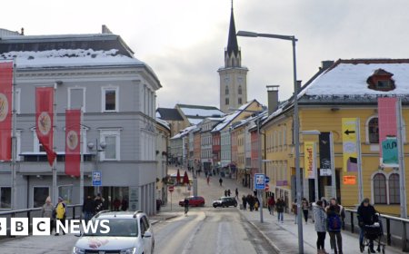 Teenager dead and four injured in Austria knife attack