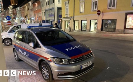 Teen dead and five injured in Austria knife attack