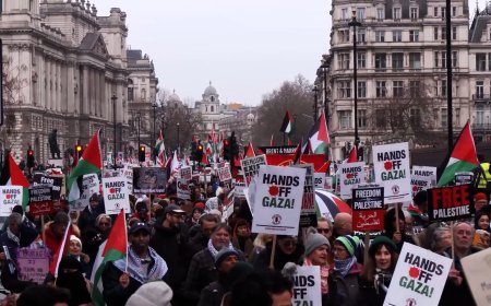 Video: Protesters around the world condemn Trump’s ‘takeover’ plan for Gaza