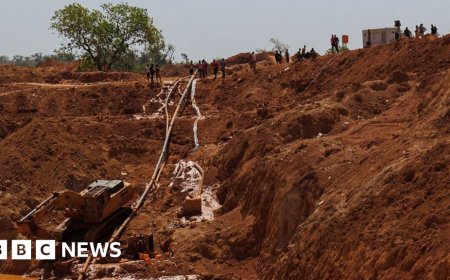 Dozens killed in Mali illegal gold mine collapse