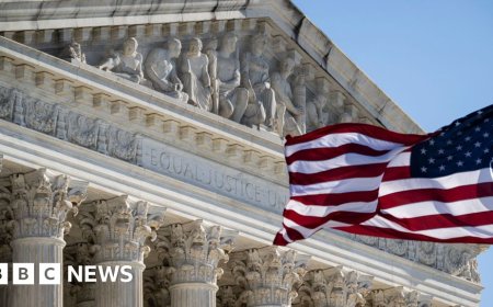 Trump appeals to Supreme Court over firing of US agency boss