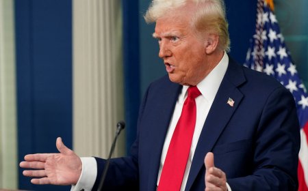 Trump fires hundreds of federal aviation workers weeks after deadly crash