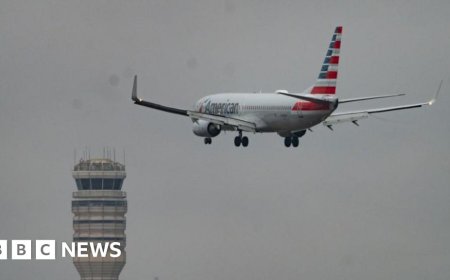 Hundreds fired at aviation safety agency, union says