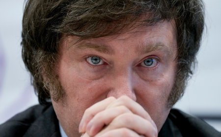 Argentina’s Javier Milei faces fraud allegations over cryptocurrency post