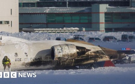 'I was just in a plane crash. Oh my God': Witnesses recount escape in Toronto