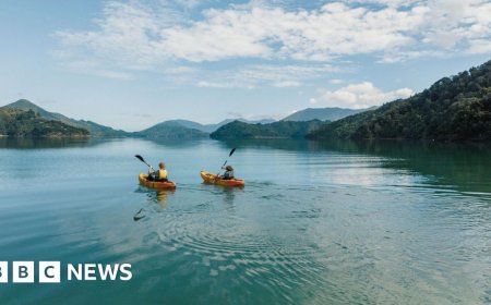 'Everyone must go': New Zealand's tourism drive draws ire