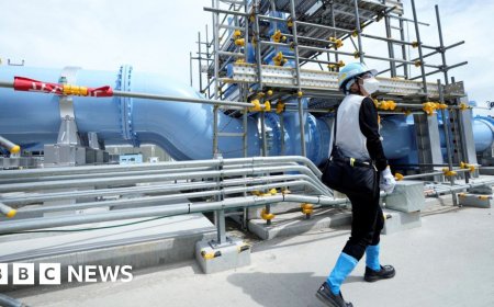 Japan raises nuclear power goal in post-Fukushima shift