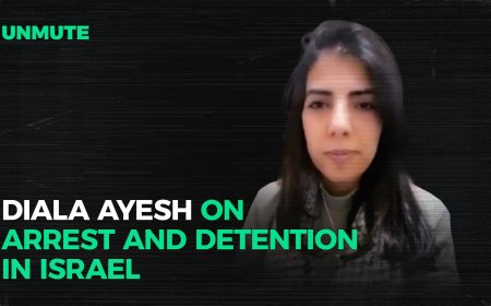 Diala Ayesh on arrest and detention in Israel